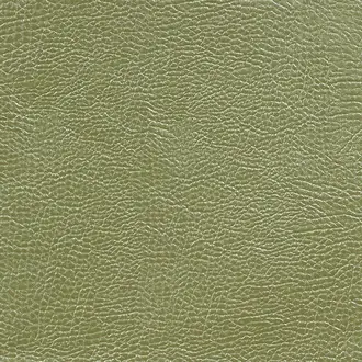 Mojave FDG2167-20