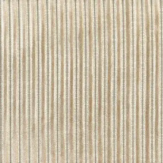 Zebu 11630122