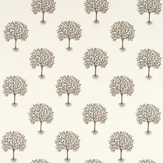 Bergamot F1541-01