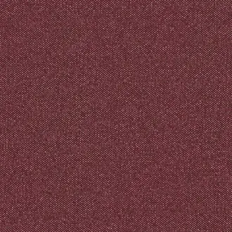 Boucle HPE201