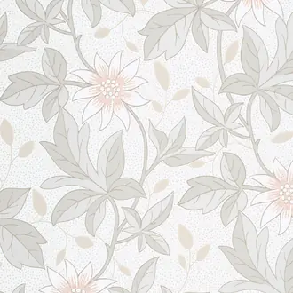 Monroe Evening Flower