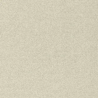 Elyssa 12900813