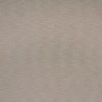 Esket Plaster