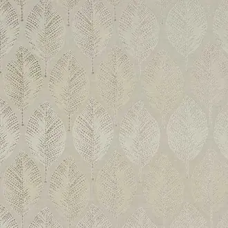 Acacia Natural