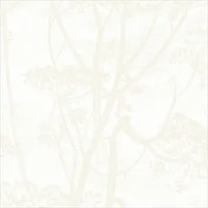Cow Parsley 95-9052