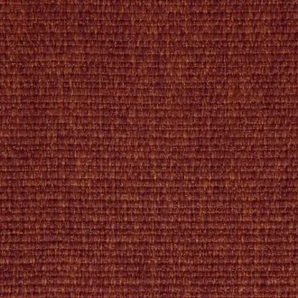 Camelia 08
