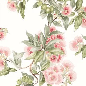 Camellia Garden AT24550