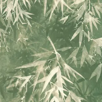 Aquila 18603