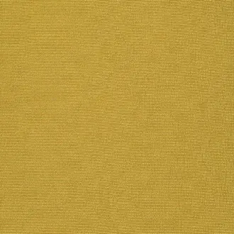 Striato F1555-19