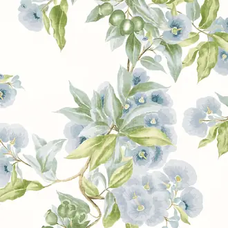 Camellia Garden AT24549