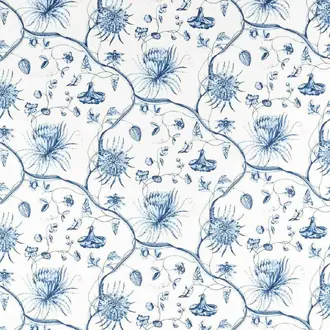 Phaedra Toile 322739
