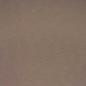 Esket Russet