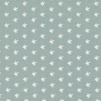 Starstruck V3343-01