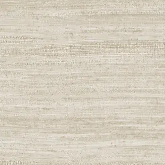 Tasar 72021A