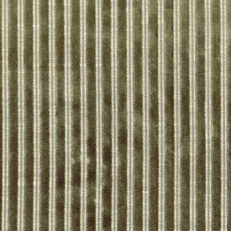 Zebu 11630788