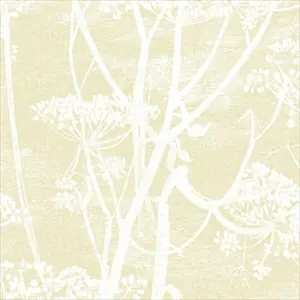 Cow Parsley 95-9053