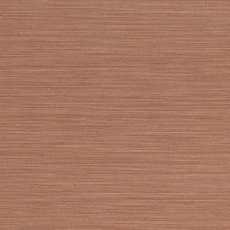 Cannete 10370