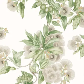 Camellia Garden AT24551