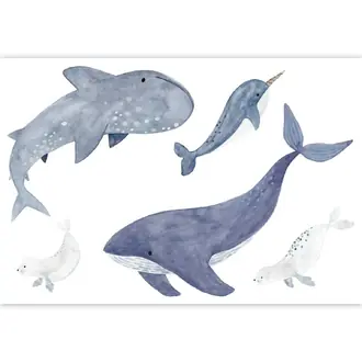 Sea Life Spray Up 200896505