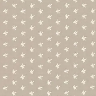 Starstruck V3343-02