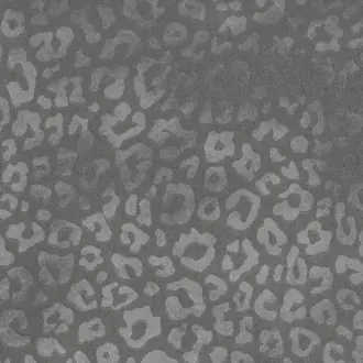 Jaguar Zinc