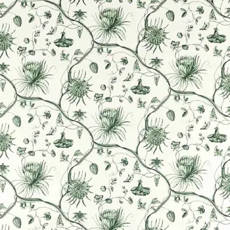Phaedra Toile 322740