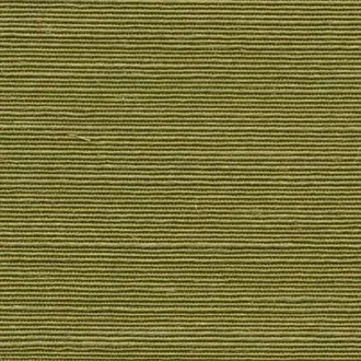 Agave 90531A