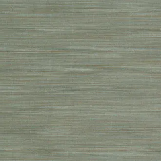 Cannete 10371