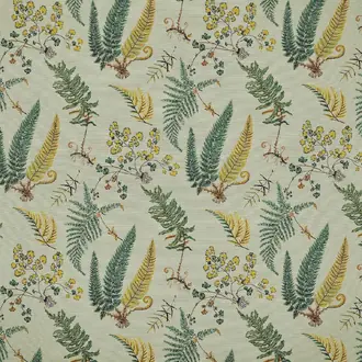 Botanique F3886002