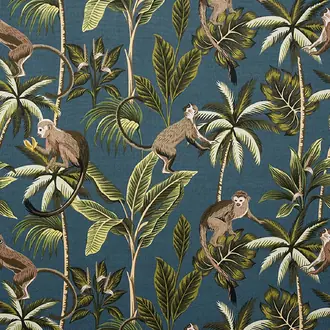 Monkey teal
