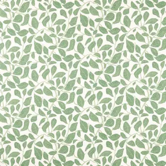 Sweet Bay Print 121314