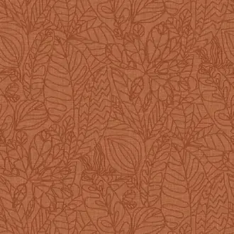 Argania 78201324