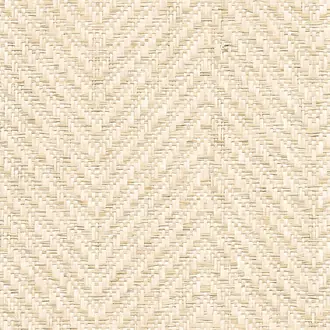 Chevron Chic Ivory Coast 3290