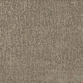 Serra Fossil Z505-05