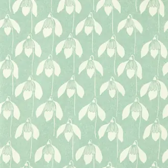 Snowdrop NART112801