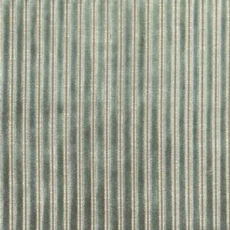 Zebu 11630671