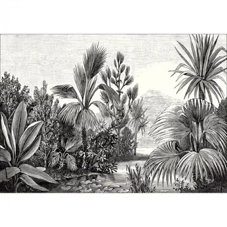 Balade Sauvage 102609009