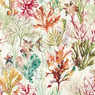 Oceana CCW0168-01