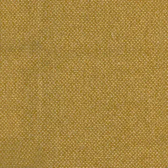 Yosemite Eagle