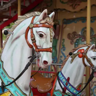 Carousel R11881