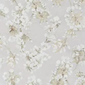 Fleur D Assam PDG1148-01