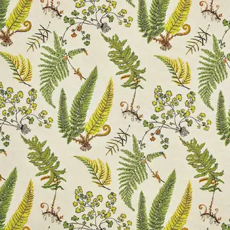 Botanique F3886001