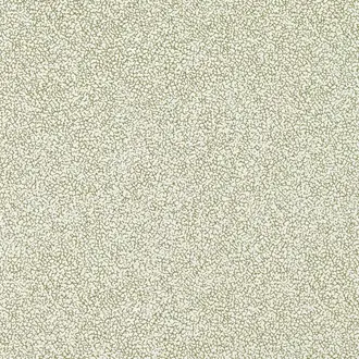 Craquelin FP071004