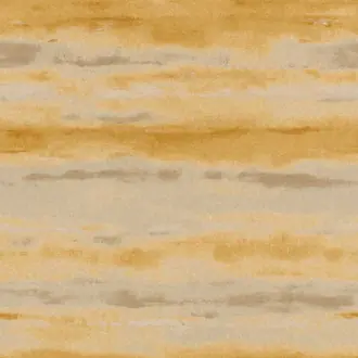 Plains 296562