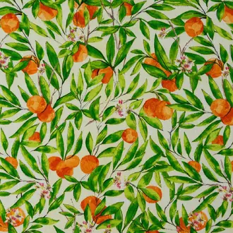 Seville Orange
