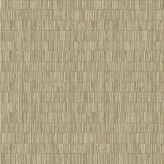 Zen DWP0362-01