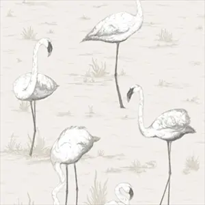 Flamingos 95-8046