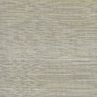 Silk & Abaca Scrolls of Sepia 3214