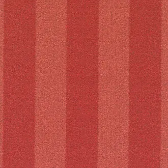 Acca Stripe 600766-0551