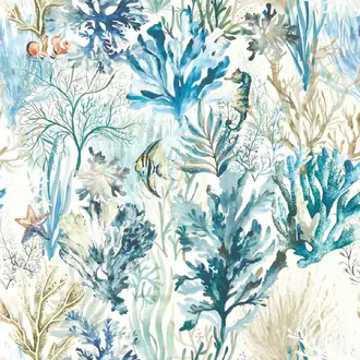 Oceana CCW0168-02